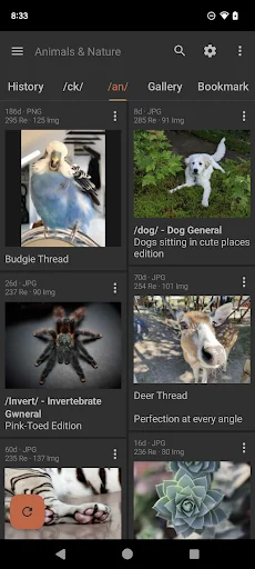 Download Read Chan APK Terbaru – Pengalaman 4chan Terbaik description image 2