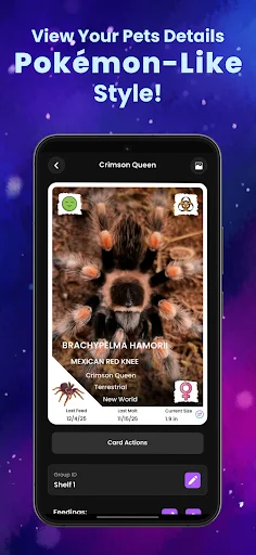 Download Arachnifiles: Pet Tracker Terbaru – Pantau Laba-laba Anda description image 4