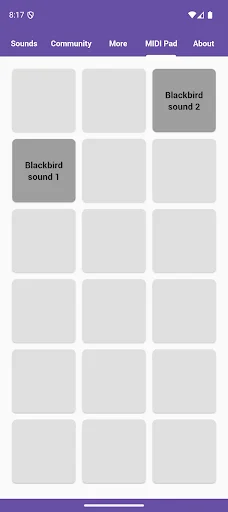 Download Blackbird Sounds Terbaru – Melodi Alam Gratis description image 5
