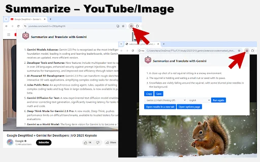 Summarize and Translate with Gemini – Ringkasan AI Cepat description image 2