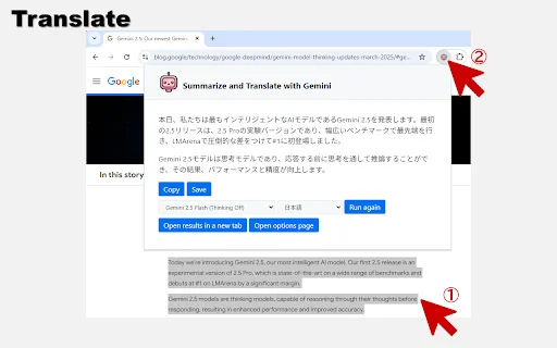 Summarize and Translate with Gemini – Ringkasan AI Cepat description image 3